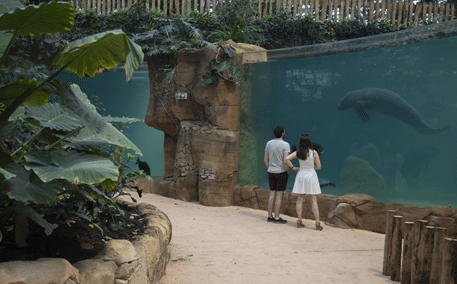 Beauval-Dôme-équatorial-@ZooParc-de-Beauval