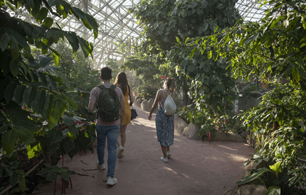 Jungle_dome_equatorial-©ZooParc-de-Beauval