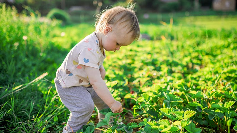 Bambin-potager-©Freepik-Diller