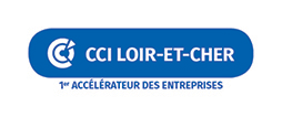 CCI41-Logo