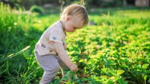 petite enfance loir et cher
